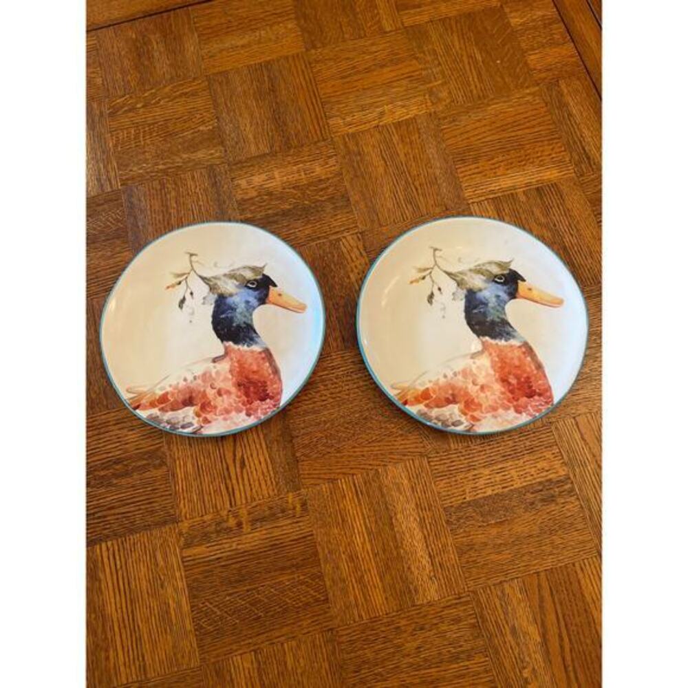 Retired Pier 1 farm animal plates set of 2 Ducks